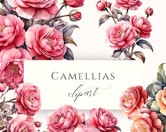Camellia Watercolor Clipart PNG, Pink Botanical Floral Graphics for Scrapbooking, Cardmaking and Junk Journals