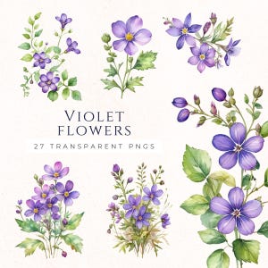 Violet Flower Clipart Digital Download PNG, Flores roxas, Clipart floral de aniversário de fevereiro, Flor do mês de nascimento, Ephemera