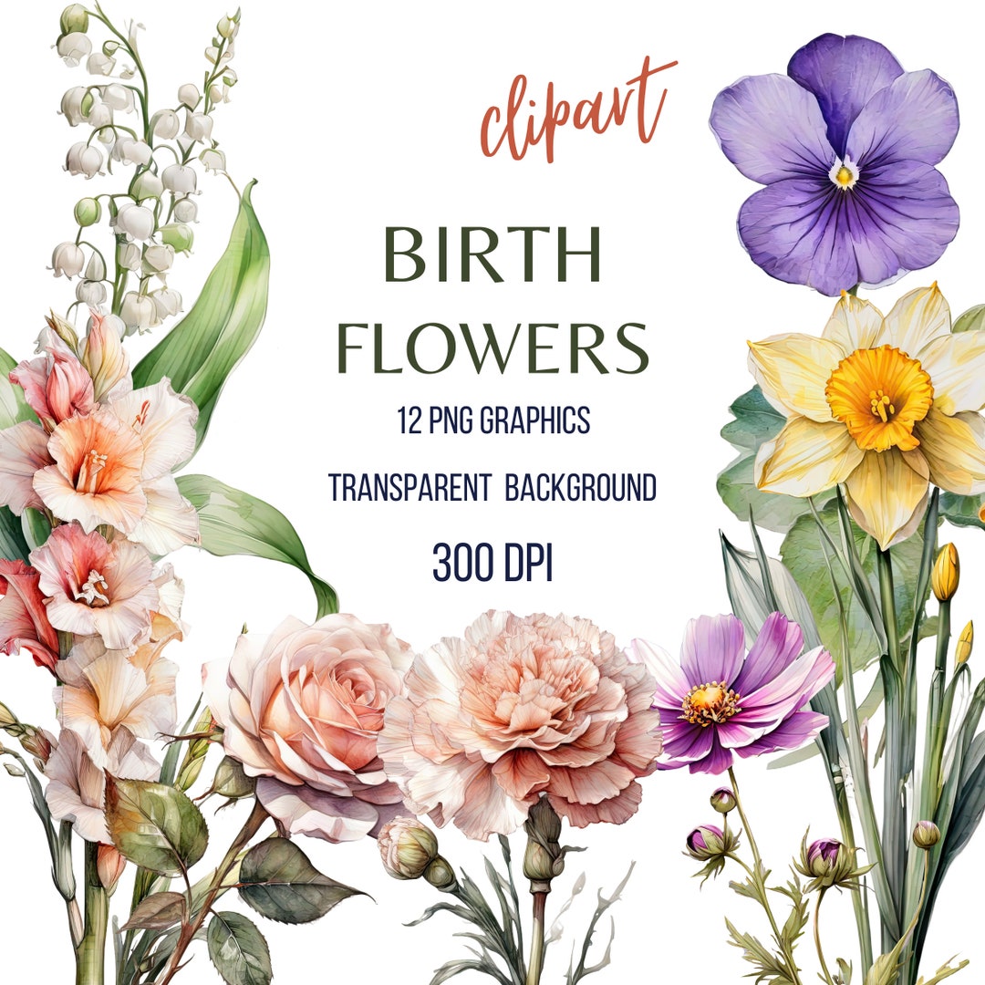 Birth Month Flowers Clipart, Floral Clip Art, PNG Files, Watercolor
