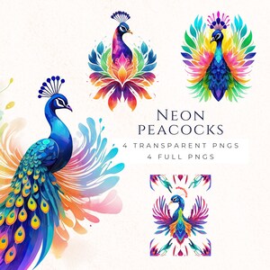Clipart paon néon png, art oiseau coloré, impression paon aquarelle, téléchargement immédiat, déco amateur d'oiseaux, oiseaux exotiques, NEO003