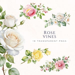 Pacchetto Clipart di rose rampicanti miste, Immagini di album, Forniture artigianali, Forniture per la creazione di biglietti, Vite decorativa, Clipart di rose, Decorazione per inviti