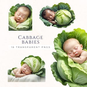 Clipart faire-part de bébé cultivé dans la maison, graphiques neutres en matière de genre, révélation de grossesse, images de scrapbooking, travaux manuels en papier