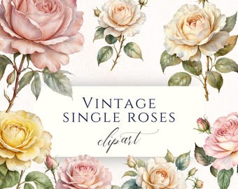 Vintage Botanical Rose Clipart PNG, Retro Boho Floral Graphics for Scrapbooking, Junk Journals and Cardmaking