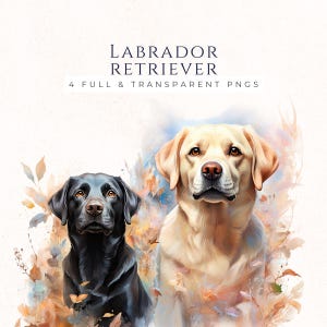 Labrador Retriever Watercolor Clipart, Dog Lover Graphics, Instant Download PNG, Commercial Use, Scrapbook Images, DO008