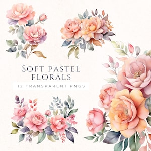 Soft Pastel Flower Clipart Set, Blush Floral PNG Images, Scrapbooking Decor, Instant Download Clip Art, Journal Decoration
