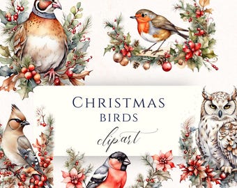 Christmas Birds Clipart, Watercolor Festive Wildlife, Robin Bullfinch Owl Waxwing Partridge, Winter Bird PNG