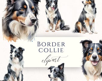 Border Collie Watercolor Clipart PNG, Dog Lover Graphics for Pet Cards, Junk Journals and Scrapbooking, DO013
