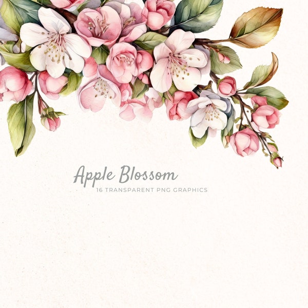 Apple Bloom Clipart, Spring Flower Blossom PNG Files, Instant Download, Floral Elements, Pink Flowers, Spring Clip Art