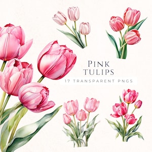 Clipart tulipani rosa, disegno floreale ad acquerello, download immediato, bouquet di tulipani PNG, clipart di Pasqua, fiore primaverile, TUL008