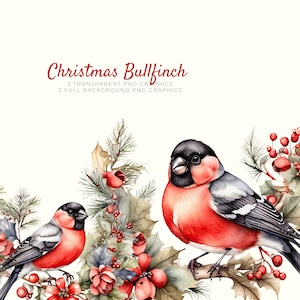 Festliche Gimpel Clipart, Weihnachten Gimpel Cardmaking Angebot, Vogel Clip Art, Winter Clipart, Weihnachten Papier Handwerk, Scrapbooking