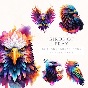 Collezione di clipart di uccelli rapaci al neon, clipart di falco aquila PNG, decorazione di diario sulla fauna selvatica, download immediato, regalo per gli amanti degli uccelli, NEO001