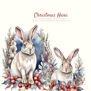 Arctic Hare PNG Clipart Instant Download, Scrapbook Images, Christmas Cardmaking Supply, Wildlife Art, Winter Clipart