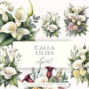 Kalla-lilja Clipart PNG, elegant blommig grafik för skräpjournaler, scrapbooking och korttillverkning