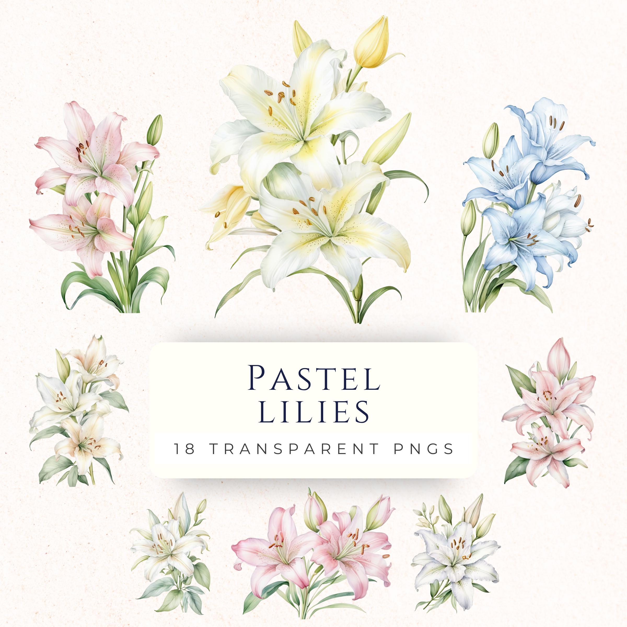 Lillies flowers - Etsy België, image size:2400x2400