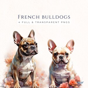 Watercolor Frenchie Clipart Set, French Bulldog Images, Scrapbook Graphics, Dog Lover Clipart, Commercial Use, Pet Clip Art, DO012