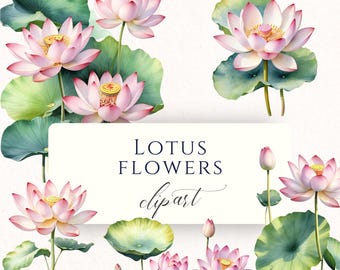 Set di clipart PNG di loto rosa ad acquerello, grafica floreale botanica per scrapbooking, junk journal e lavori di cartoleria creativa.