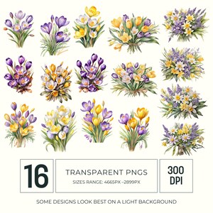 Crocus and Daffodil Spring Bouquet Watercolor Clipart PNG, Bright Floral Graphics for Scrapbooking and Cardmaking image 3