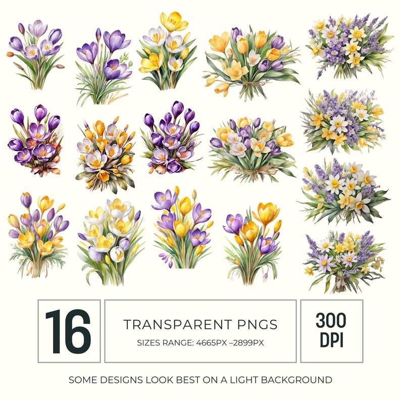 Crocus and Daffodil Spring Bouquet Watercolor Clipart PNG, Bright Floral Graphics for Scrapbooking and Cardmaking image 3