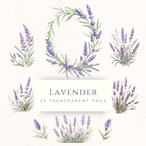 Conjunto de imágenes prediseñadas de lavanda en acuarela, gráficos florales morados, imágenes PNG de descarga instantánea, suministros para scrapbooking, manualidades de papel