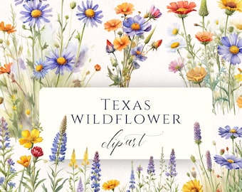 Texas Wildflower Clipart PNG Set, Botanical Floral Graphics for Invitations, Scrapbooking and Card Making, Commercial Use