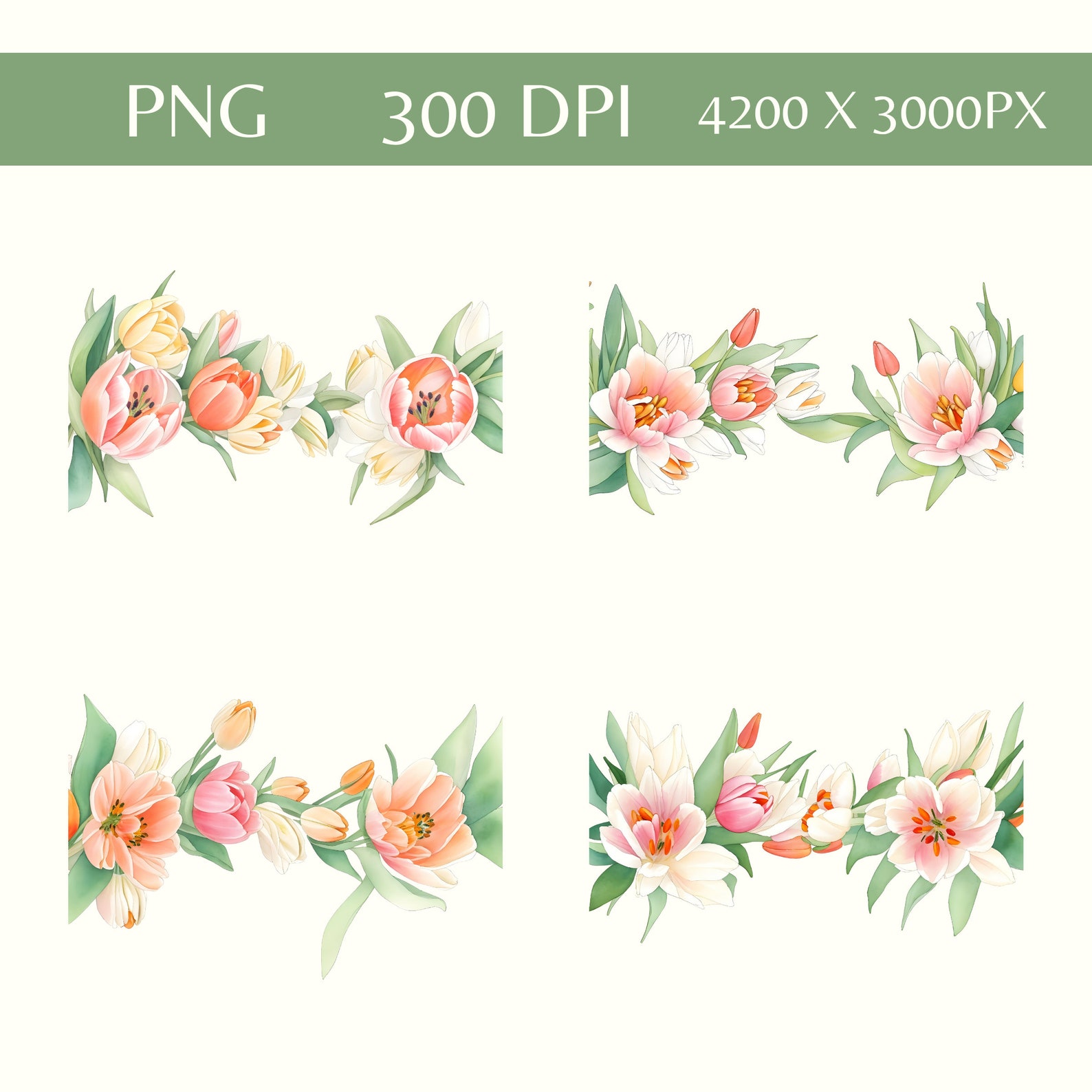 Tulip Borders Watercolor Clipart, Spring Flowers Clip Art, Flower ...