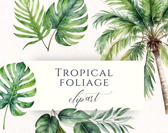 Imágenes prediseñadas de hojas de monstera tropical en acuarela PNG, gráficos de follaje hawaiano para decoración de bodas, álbumes de recortes y tarjetas.