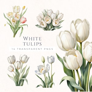 Aquarell Tulpe Clipart, weiße Tulpen Blumenmuster, Frühlingsblume Clip Art, Instant Download, Tulpe PNG, TUL005