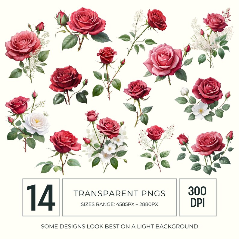 May include: A collection of 14 transparent PNG images of red roses, buds, and green leaves. Some roses are fully bloomed, while others are in various stages of opening. The image includes text that says "TRANSPARENT PNGS" and "300 DPI".