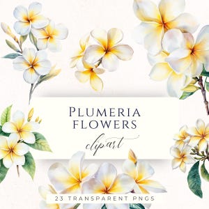 Imágenes prediseñadas de frangipani blanco en formato PNG, elegantes gráficos de flores tropicales para invitaciones de boda y álbumes de recortes.