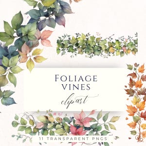 May include: Watercolor clipart featuring foliage vines in various colors, including green, blue, pink, and orange. The text "Foliage Vines clipart" is displayed on a white background, along with the text "11 Transparent PNGs".