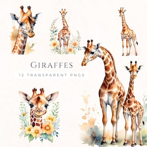 Ensemble de clipart girafe, graphismes Safari aquarelle, téléchargement immédiat Images PNG, fournitures de scrapbooking, créations en papier