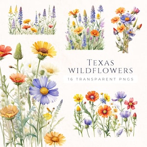 Ensemble de cliparts fleurs sauvages du Texas, téléchargement immédiat des fichiers PNG, pack d'art floral fleurs sauvages, faire-part, usage Commercial