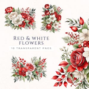 Clipart de flor vermelha e branca PNG, gráficos florais de inverno, download instantâneo, uso comercial, acessório de scrapbooking de papel artesanal