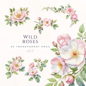 Clipart detalhado de rosas selvagens, PNG aquarela, clipart de arte de scrapbooking, suprimentos para fazer cartões, flores românticas, download instantâneo