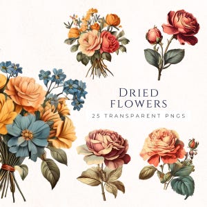 Fleurs séchées des cliparts, téléchargement numérique Floral vintage, Junk Journal Scrapbooking, Clip Art à usage commercial, décoration de mariage Boho