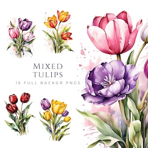 Mélange de cliparts tulipes, clipart fleur de printemps, téléchargement immédiat, tulipes aquarelles, tulipe PNG, design floral, arrière-plan complet, TUL003