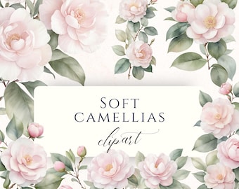 Imágenes prediseñadas PNG de delicadas camelias en acuarela, gráficos florales delicados para álbumes de recortes, diarios creativos y creación de tarjetas.