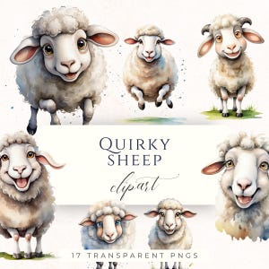 May include: Watercolor clipart featuring several cartoon sheep in various poses. The sheep are white with fluffy wool, expressive faces, and pink ears. The text "Quirky Sheep clipart" is displayed below the sheep, along with "17 Transparent PNGs".