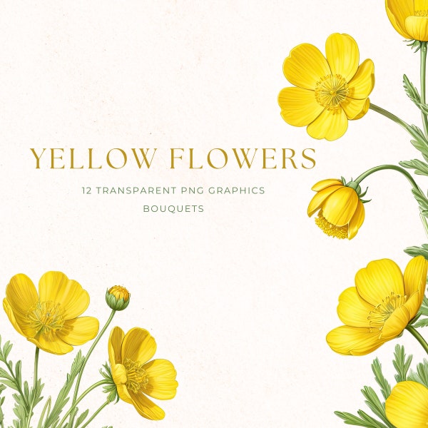 Yellow Buttercup Flowers Clipart, Spring Floral Clip Art, Instant Download PNG, Flower Illustration