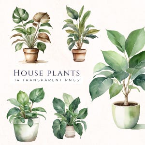 Clipart de planta de casa em aquarela PNG, material para artesanato em papel, clipart de plantas em vasos, imagens de scrapbook, download instantâneo, criação de cartões