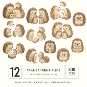 May include: A collection of 12 transparent PNG images featuring watercolor illustrations of hedgehogs. The images include hedgehogs of various sizes, some in family groups. The text in the image says "TRANSPARENT PNGS" and "300 DPI".