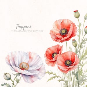 Mélange de cliparts aquarelle coquelicot, PNG transparents, images de carnet de scrapbooking, fournitures créatives, créations en papier