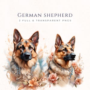 Watercolor German Shepherd Clipart, Alsation Dog PNG, Police Dog Graphics, Scrapbooking Images, Dog Lover Gift, Instant Download, DO001