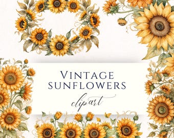 Conjunto de bordes y coronas retro de girasoles botánicos, PNG floral vintage, descarga instantánea, scrapbooking, invitaciones