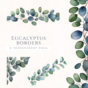 Eucalyptusrand clipart, aquarel gebladerte afbeeldingen, scrapbooking graphics, commercieel gebruik, Instant Download, Paper Craft