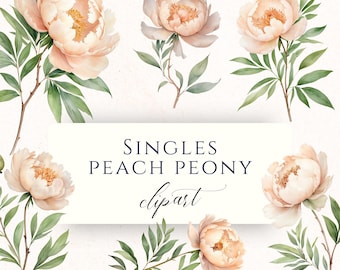 Miękka brzoskwiniowa piwonia, akwarela, grafika kwiatowa do pamiętników, scrapbookingu i tworzenia kartek, PEO008