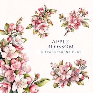 Apple Bloom Clipart, fichiers PNG de fleur de printemps, téléchargement immédiat, éléments floraux, fleurs roses, clipart printemps