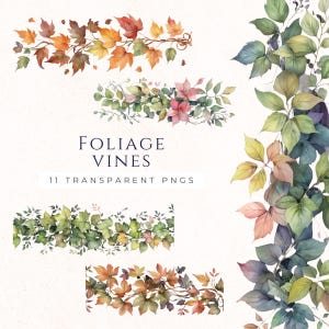 Mixed Foliage Vine Clipart Set, Paper Craft Borders, Leaf Border Graphics, Instant Download PNG, Scrapbook Images, Cardmaking Supply