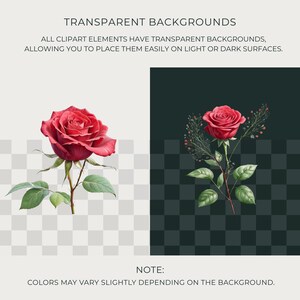 May include: Two digital illustrations of red roses with green leaves and stems. The text at the top reads "TRANSPARENT BACKGROUNDS" and the text below reads "ALL CLIPART ELEMENTS HAVE TRANSPARENT BACKGROUNDS, ALLOWING YOU TO PLACE THEM EASILY ON LIGHT OR DARK SURFACES."