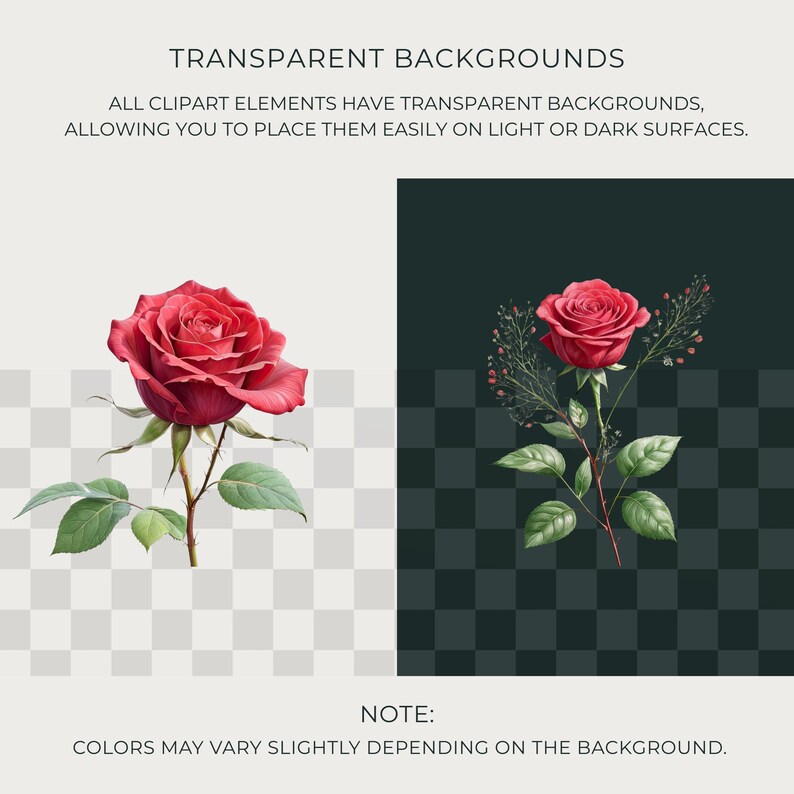 May include: Two digital illustrations of red roses with green leaves and stems. The text at the top reads "TRANSPARENT BACKGROUNDS" and the text below reads "ALL CLIPART ELEMENTS HAVE TRANSPARENT BACKGROUNDS, ALLOWING YOU TO PLACE THEM EASILY ON LIGHT OR DARK SURFACES."